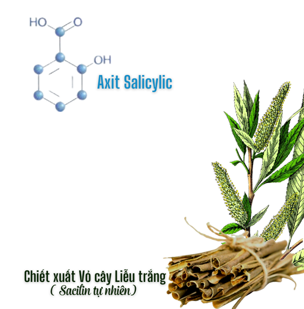 Nguồn gốc - Salicylic acid 