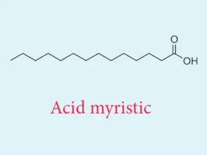Lợi ích và Công dụng của Myristic Acid