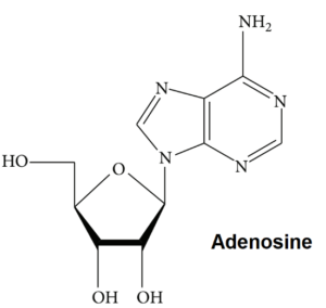 Adenosine là gì
