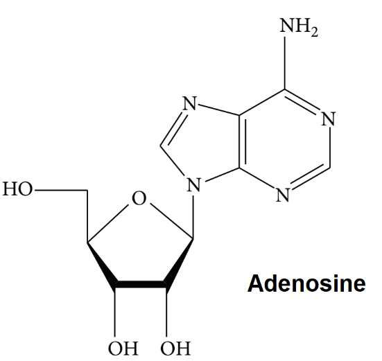 Adenosine là gì 