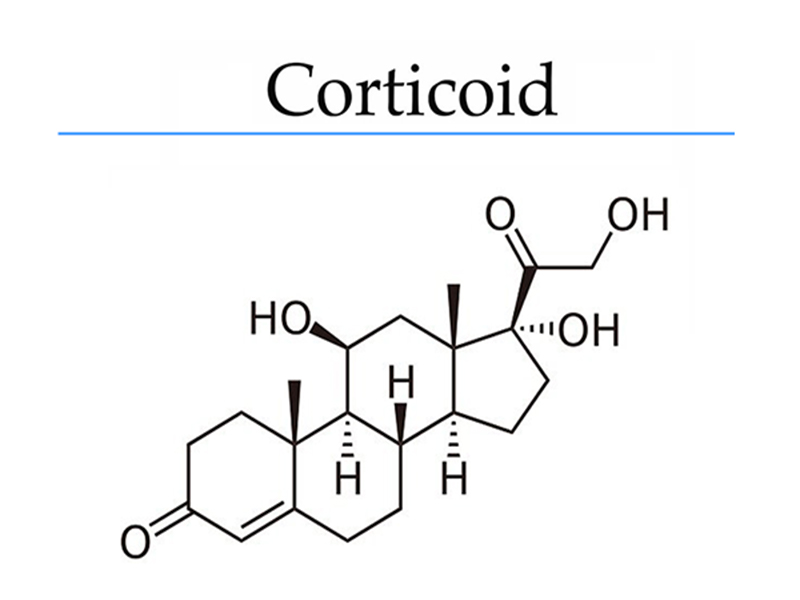 corticoid là gì